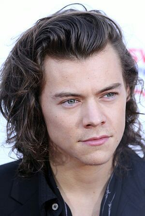 Harry Styles a été nommé la célébrité de moins de 30 ans la plus riche du Royaume-Uni pour la deuxième année consécutive